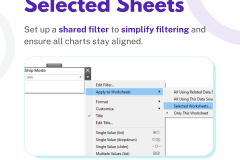 B2VB - Dashboard FILTERS - 10