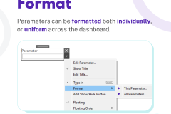 Using PARAMETERS - 10