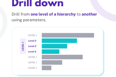 Using PARAMETERS - 17