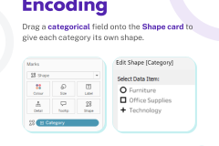 Using SHAPES - 3