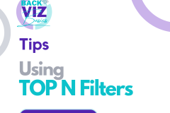 Using Top N Filters - 1