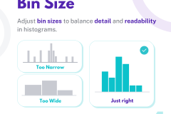 Charts - Distribution - 5